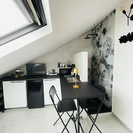 Apartment Lovely Mini Attic *