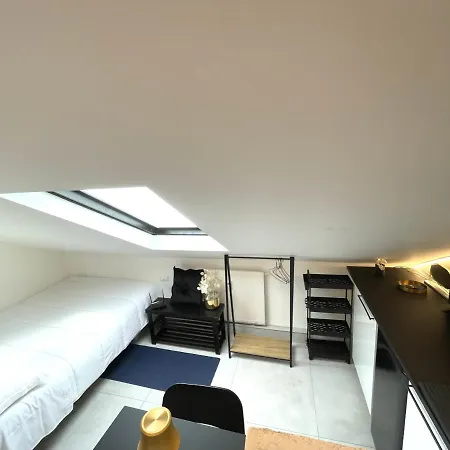 Apartment Lovely Mini Attic